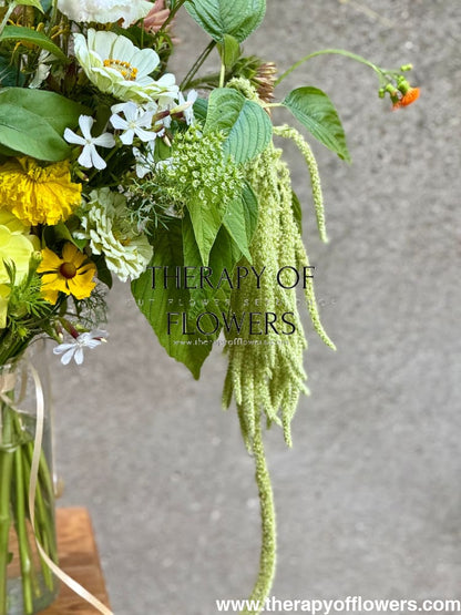 Amaranthus caudatus Green Pearls 50 seeds / 120 cm Seeds