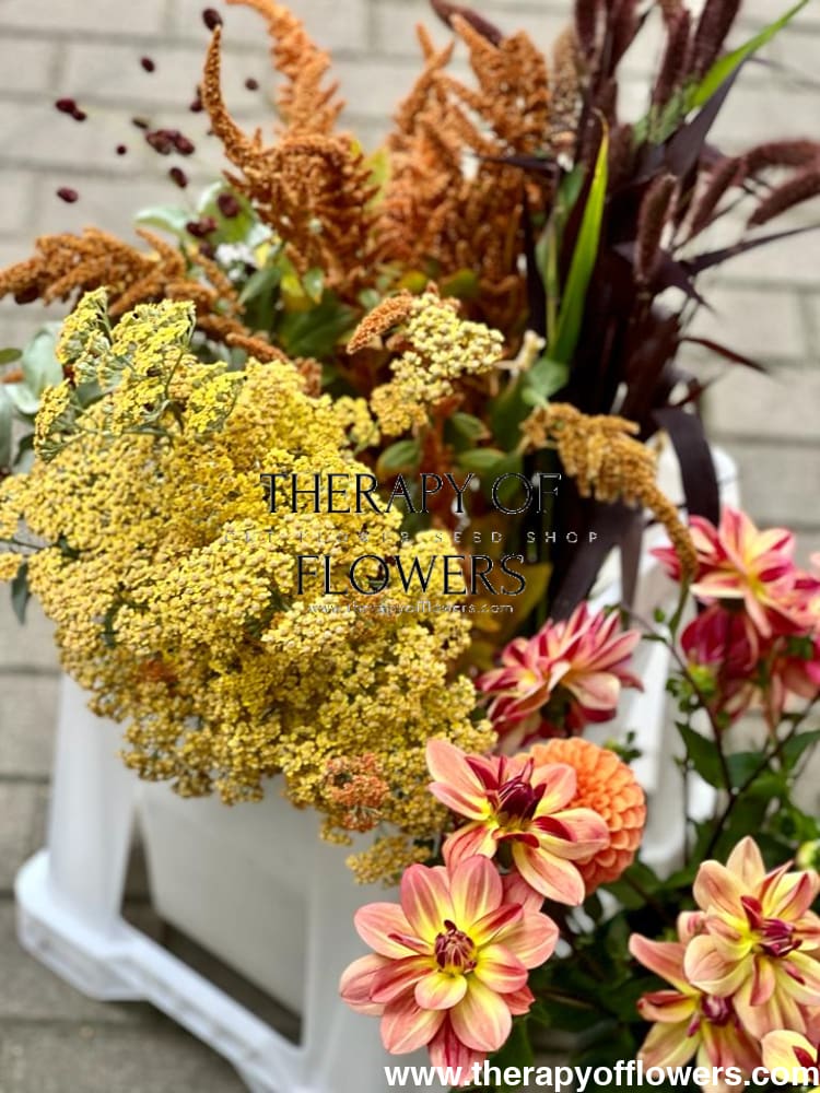Amaranthus cruentus Hot Biscuits - therapyofflowers.comflowers