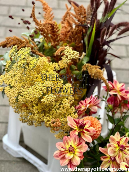 Amaranthus cruentus Hot Biscuits - therapyofflowers.comflowers