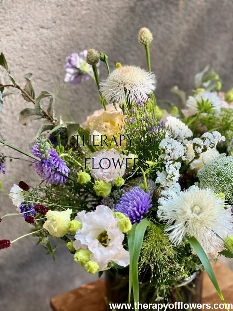 Centaurea moschata imperialis | Sweet Sultan THE BRIDE