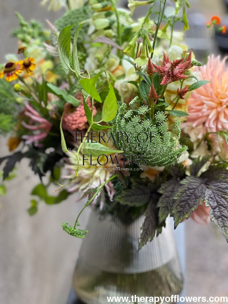 Ammi visnaga Green Mist | Queen Anne's Lace | Bouquet filler therapyofflowers.com