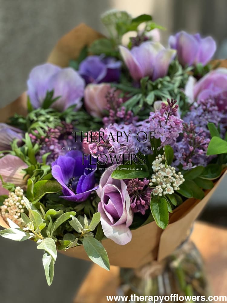 Anemone Mistral Plus® AZZURRO - Corms