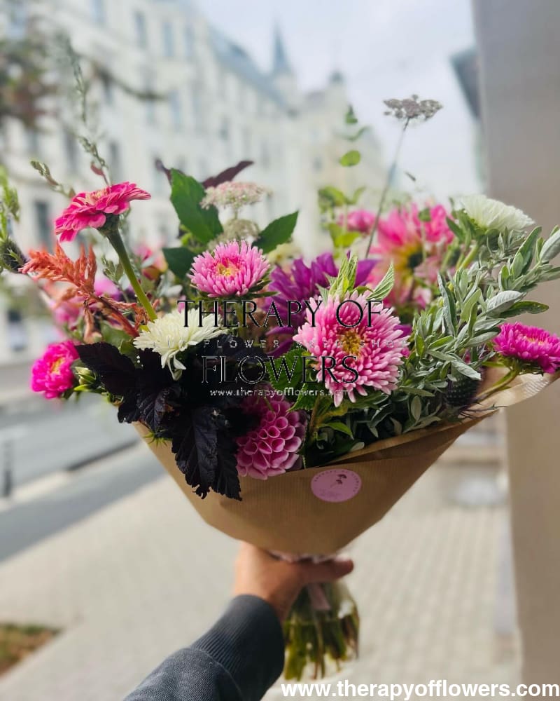 Aster Harlekin Light Rose - therapyofflowers.comflowers
