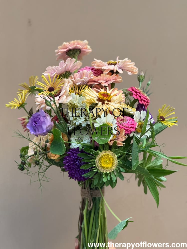 Aster Hulk | Callistephus chinensis therapyofflowers.com