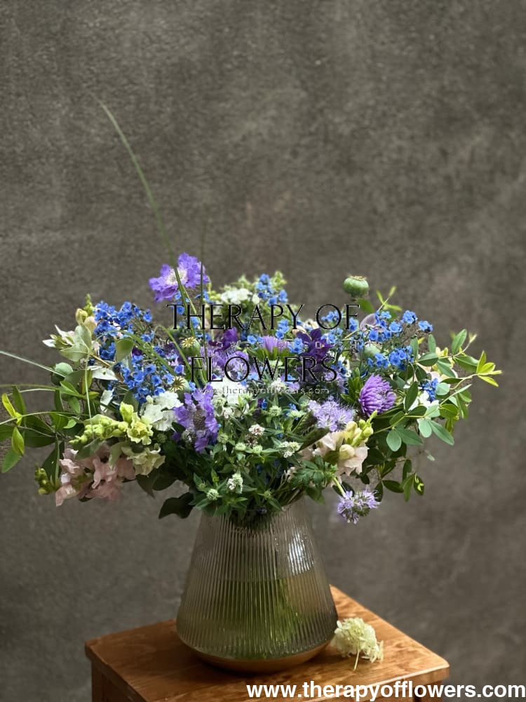 BIO Fiddleneck | Phacelia tanacetifolia therapyofflowers.com