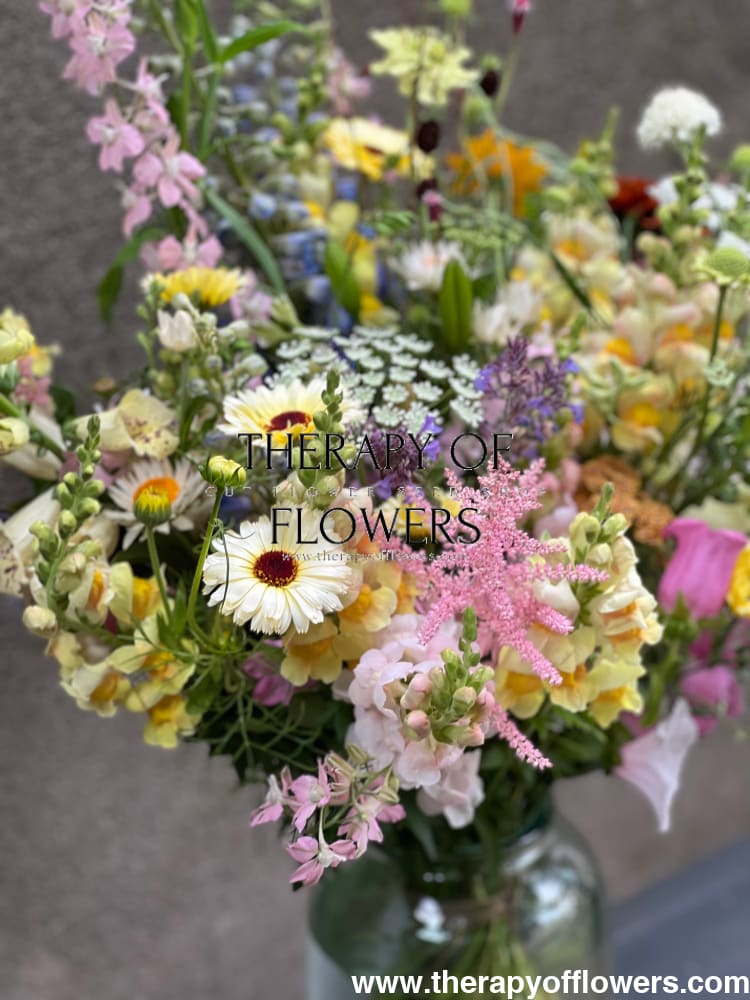 Calendula officinalis Ivory Princess therapyofflowers.com