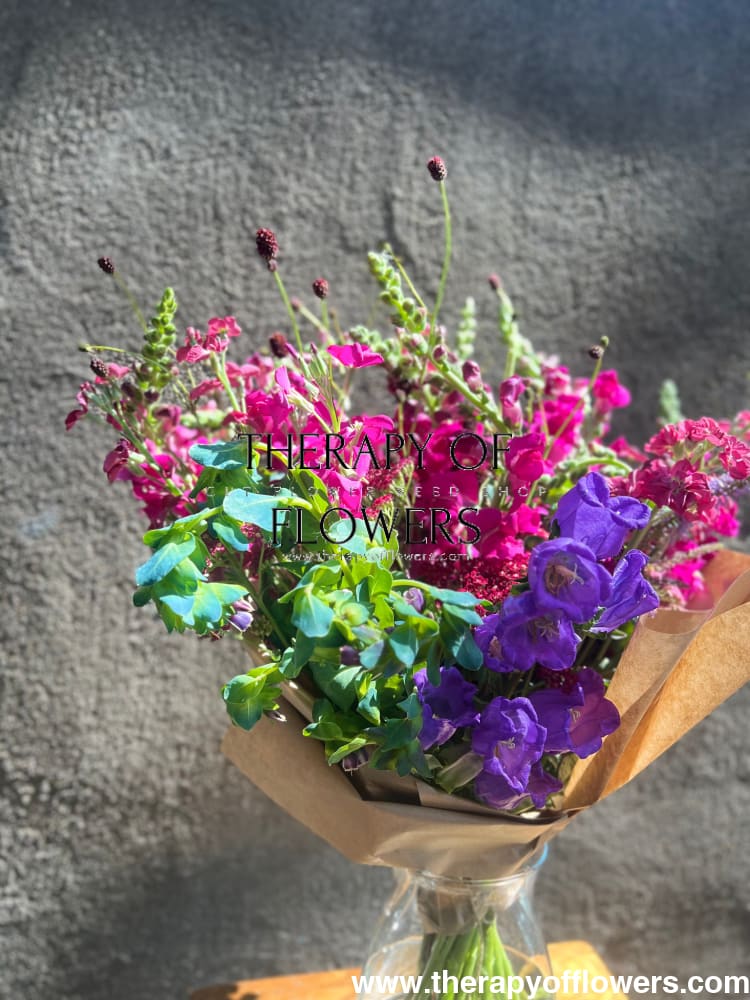 Cerinthe major purpurascens Kiwi Blue | Honeywort therapyofflowers.com