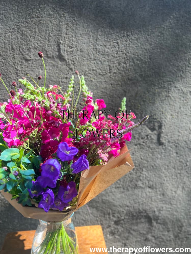 Cerinthe major purpurascens Kiwi Blue | Honeywort therapyofflowers.com