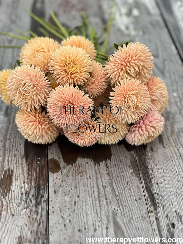 Aster Chrisantella Autumn Forest - 30 seeds / 60-80 cm - Seeds