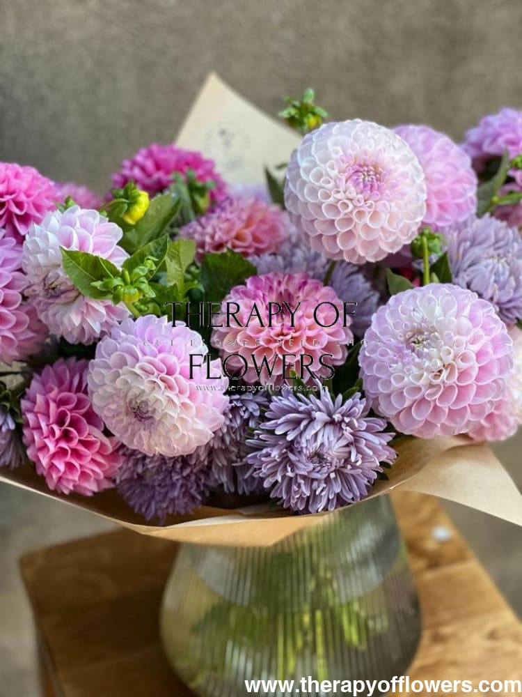 Aster Chrisantella Lilac Mist - therapyofflowers.comflowers