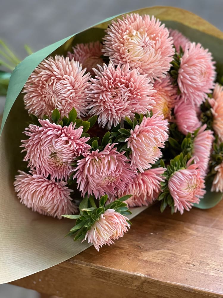 Aster NEW Honeymoon therapyofflowers.com