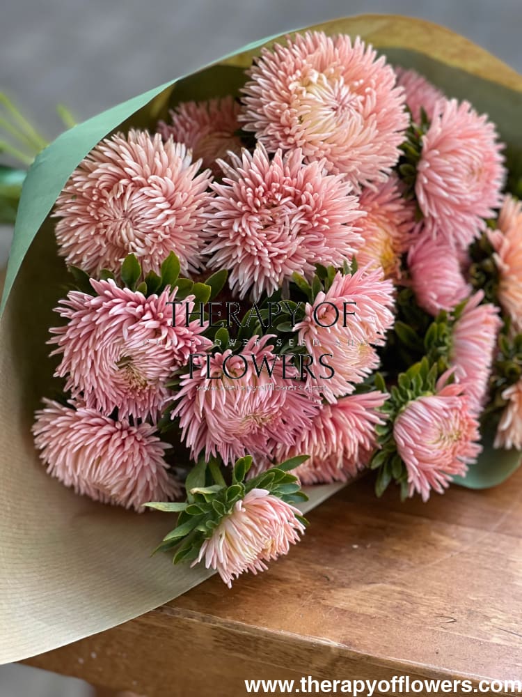 Aster NEW Honeymoon therapyofflowers.com