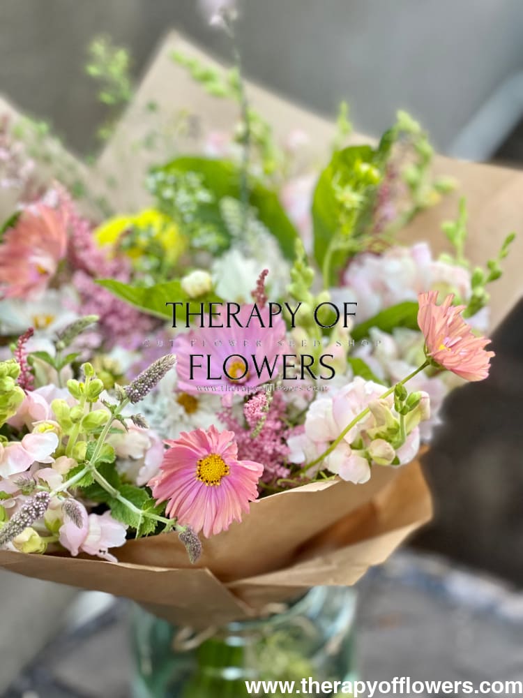 Cosmos bipinnatus Apricotta therapyofflowers.com