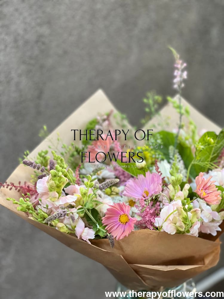 Cosmos bipinnatus Apricotta therapyofflowers.com