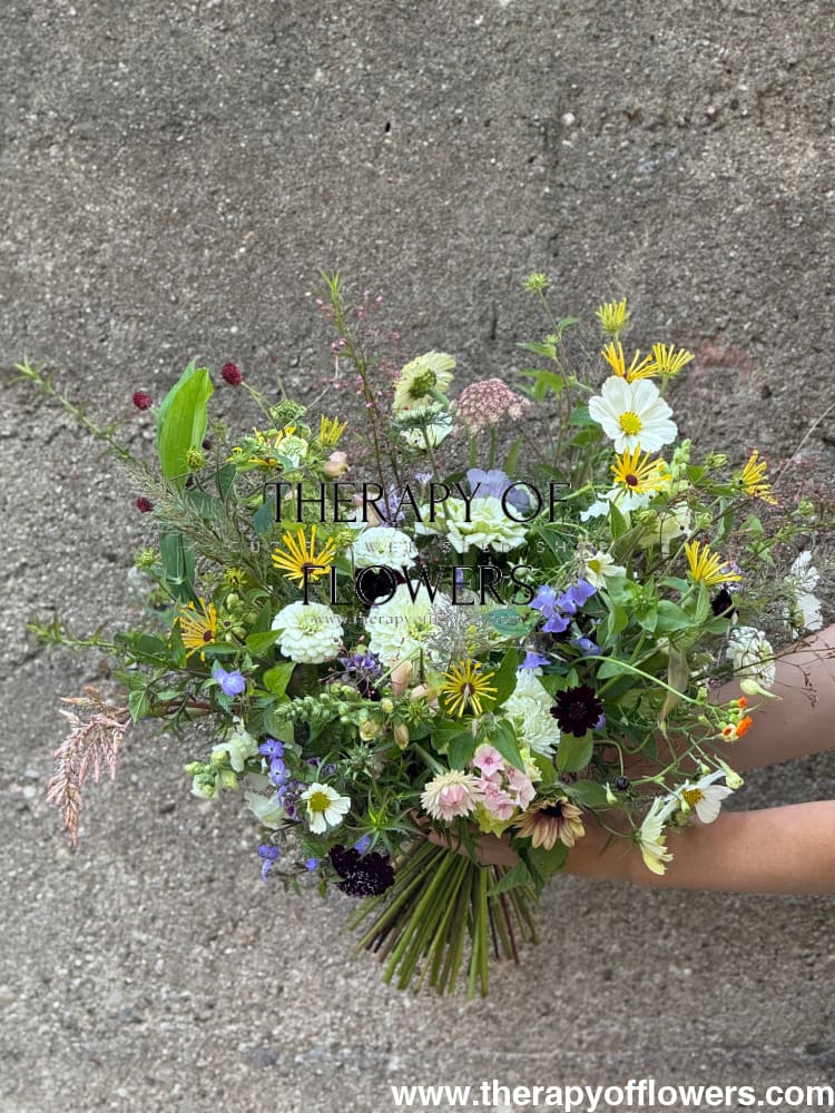 Cosmos bipinnatus Versailles White | Cut flower Cosmos - 20 seeds / 100 cm / Pure White - seeds