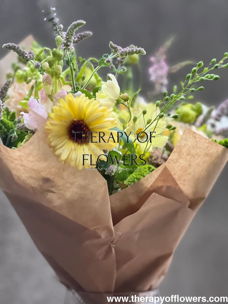  Cress ‘Attraxa’ Camelina sativa