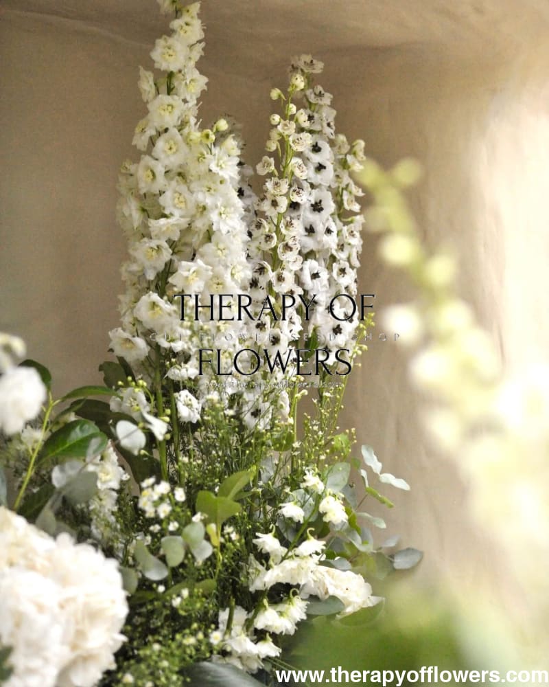 Delphinium elatum Magic Fountains Pure White | Delphinium | Excellent as Cut Flower - 20 seeds / Pure White - seeds