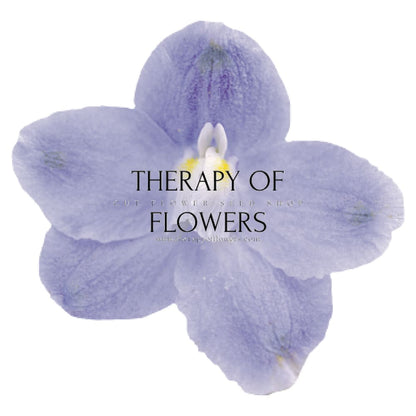 Delphinium grandiflorum Summer Blues® | Siberian larkspur therapyofflowers.com