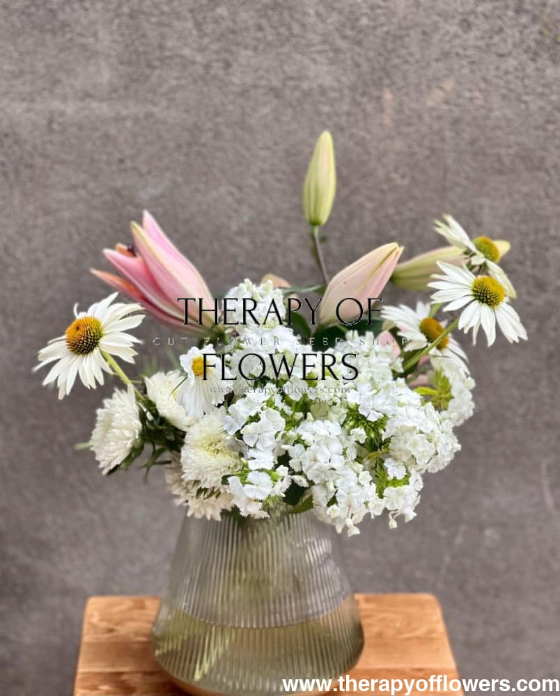 Dianthus barbatus Sweet White.