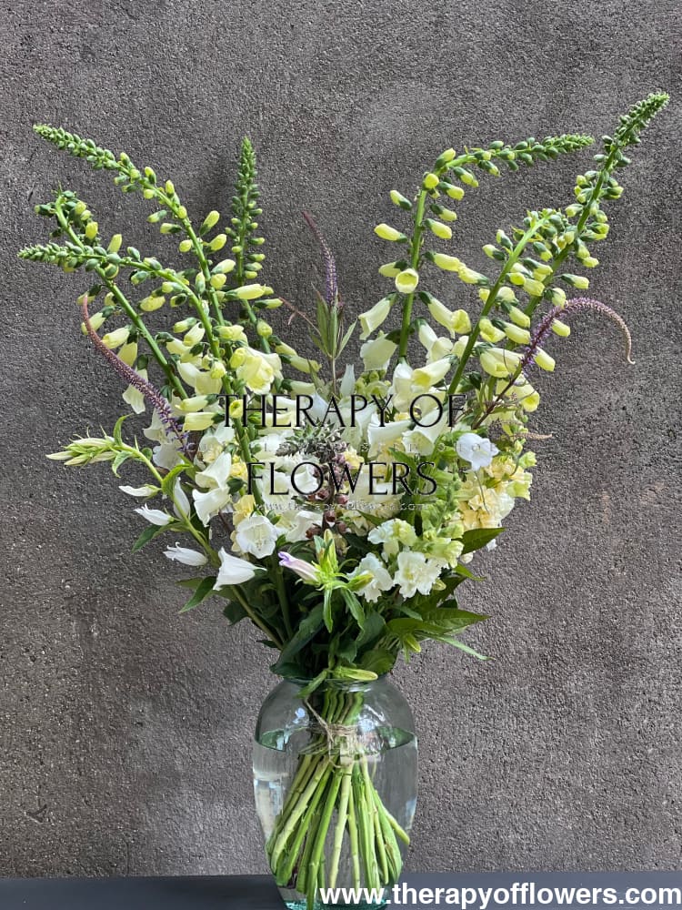 Digitalis Purpurea Camelot White F1 | Pelleted - 20 pelleted seeds / 90 cm - Seeds