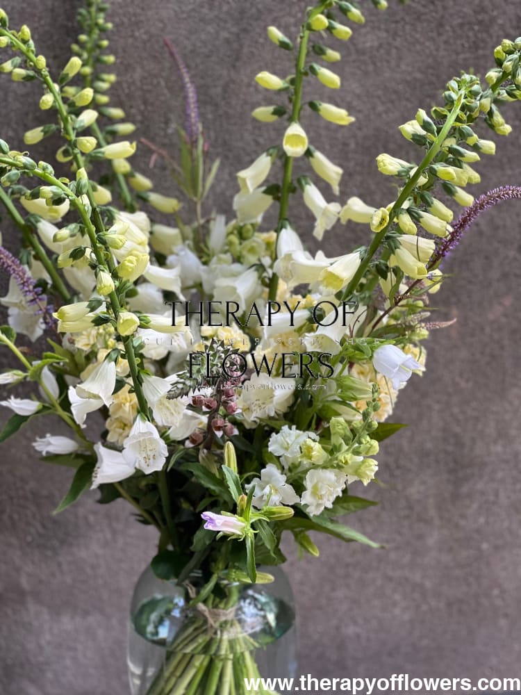 Digitalis Purpurea Camelot White F1 | Pelleted - 20 pelleted seeds / 90 cm - Seeds