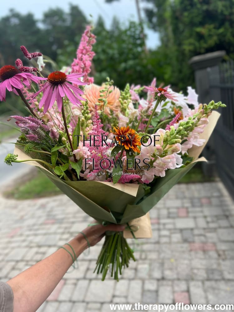 Echinacea purpurea Primadonna® Deep Rose therapyofflowers.com