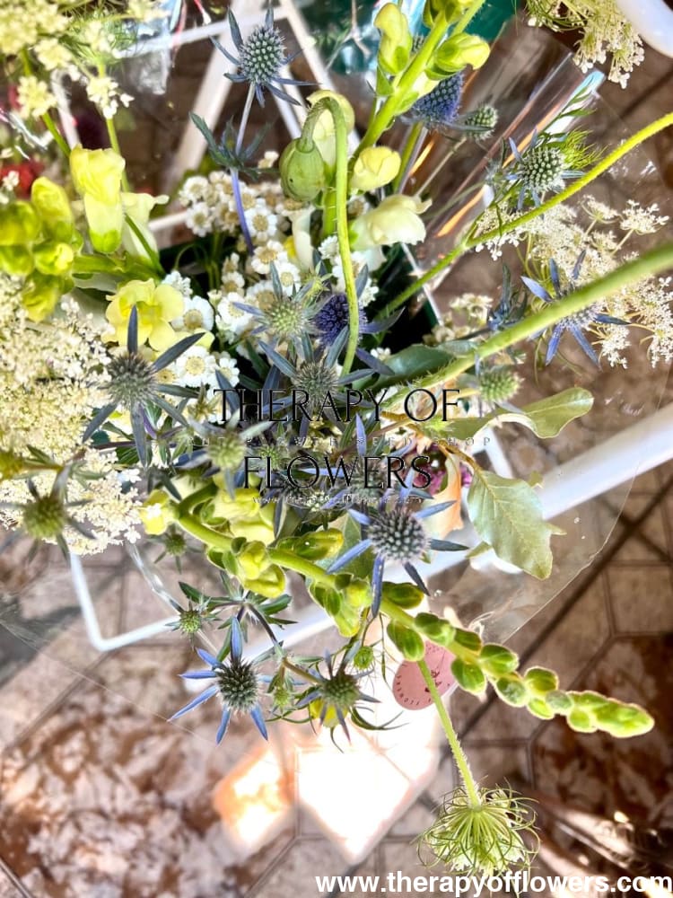 Eryngium planum Blue Glitter | Flat Sea Holly therapyofflowers.com