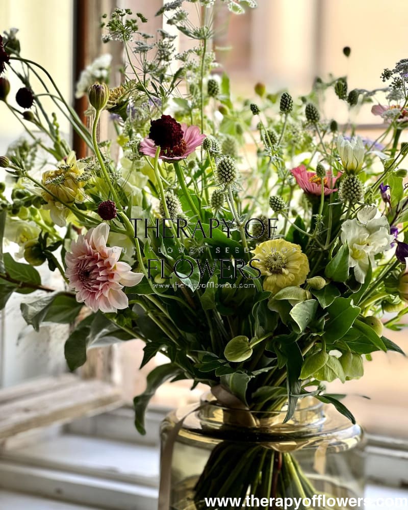 Eryngium planum White Glitter | Flat Sea Holly therapyofflowers.com