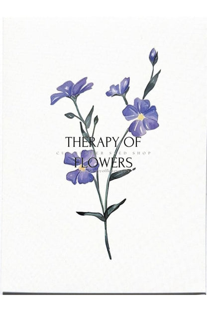Greeting card - For Flower Lowers therapyofflowers.com