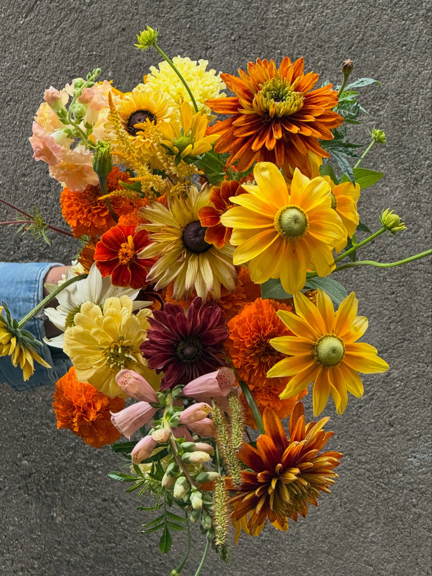 Rudbeckia hirta Prairie Sun | Black-Eyed Susan | Cut Flower therapyofflowers.com