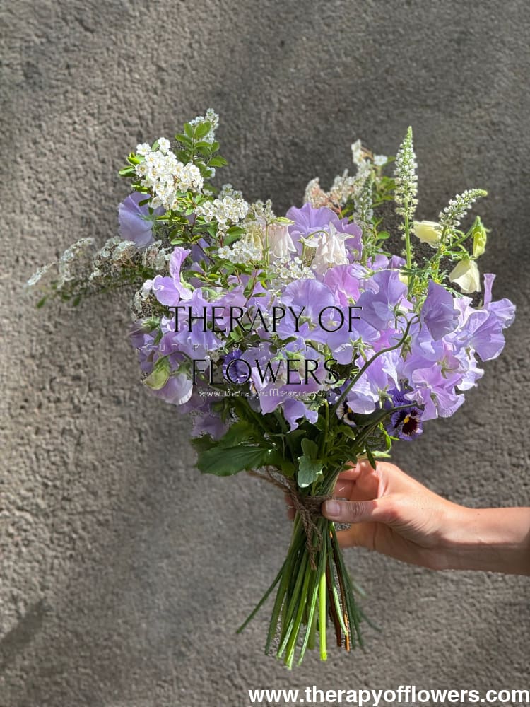 Lathyrus odoratus Spring Sunshine Light Blue therapyofflowers.com