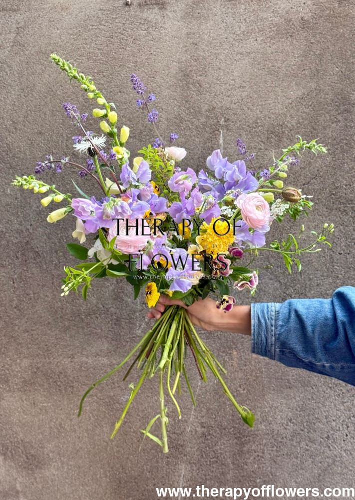 Lathyrus odoratus Spring Sunshine Light Blue therapyofflowers.com