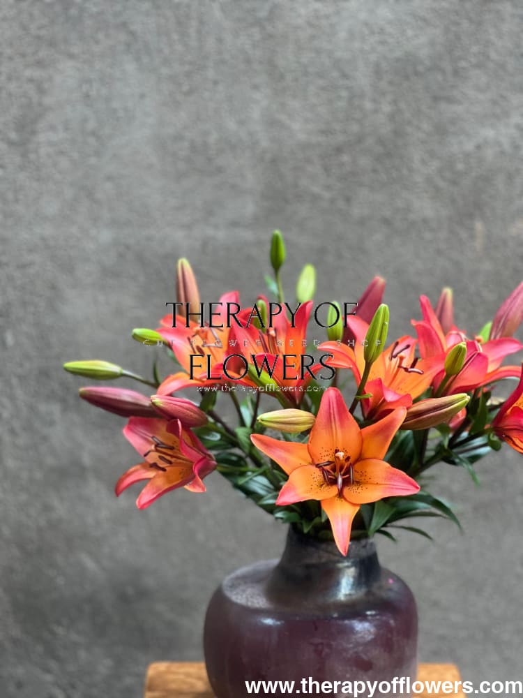 Lilium longiflorum asiatic Royal Sunset (LA) therapyofflowers.com