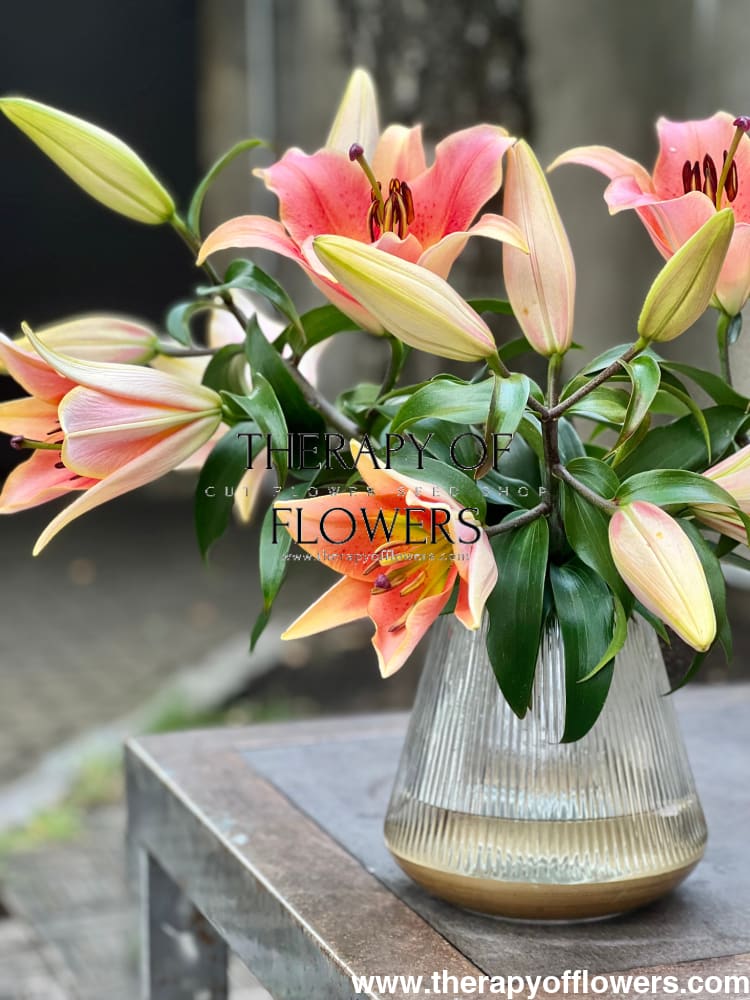 Lilium longiflorum x oriental hybrid Lily Zelmira (OT) therapyofflowers.com