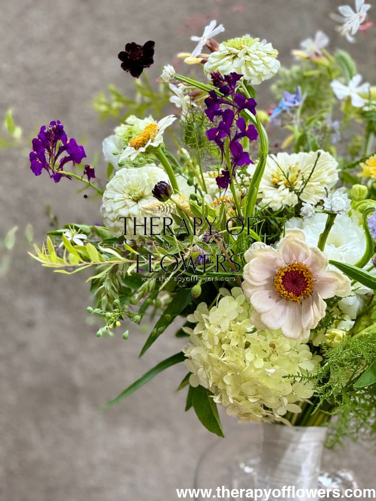 Linaria maroccana Licilia Violet | Toadflax therapyofflowers.com