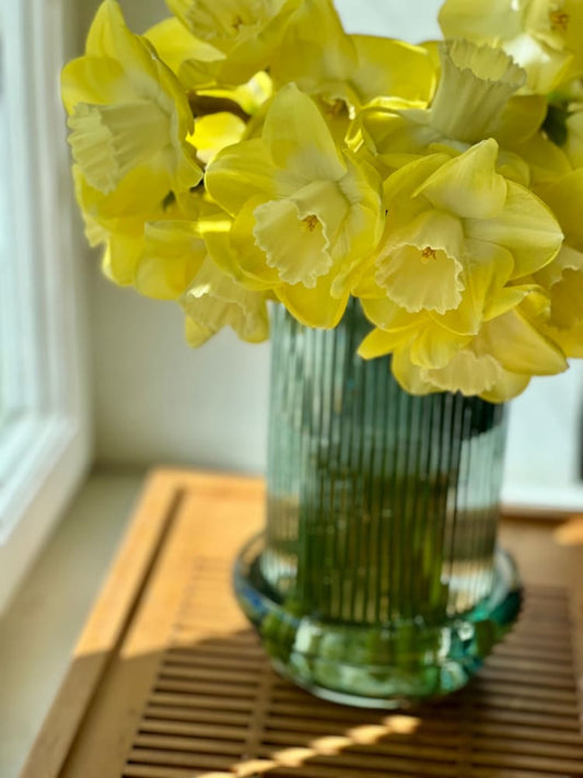 Narcissus Avalon therapyofflowers.com