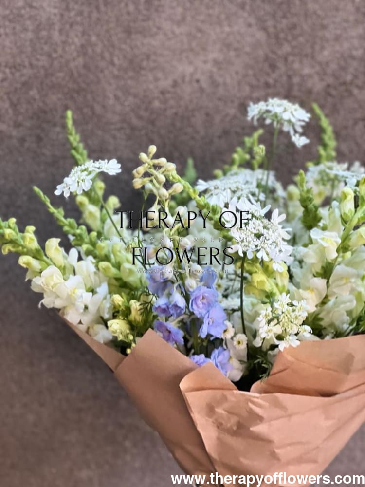 Orlaya grandiflora White Lace | Elegant Filler flower therapyofflowers.com