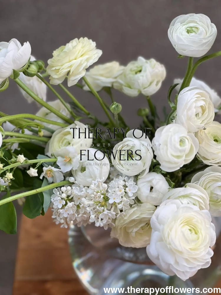 Ranunculus Elegance®  BIANCO 