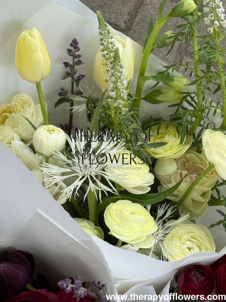 Ranunculus Elegance® CREMA light | Italian Ranunculus | Corm size: 2/3 therapyofflowers.com