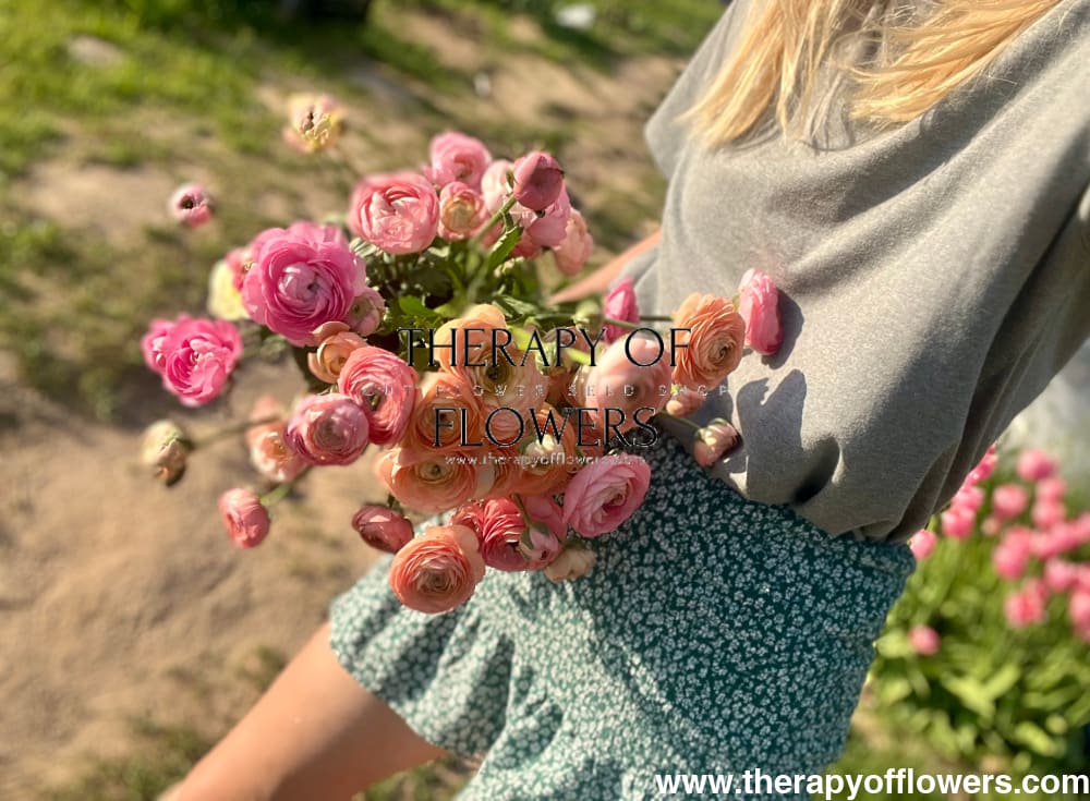 Ranunculus Elegance® PASTELLO.