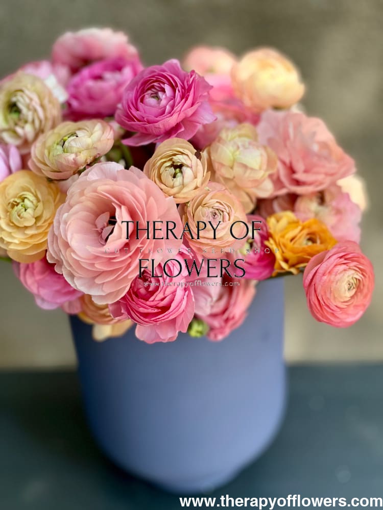 Ranunculus Elegance® PASTELLO.