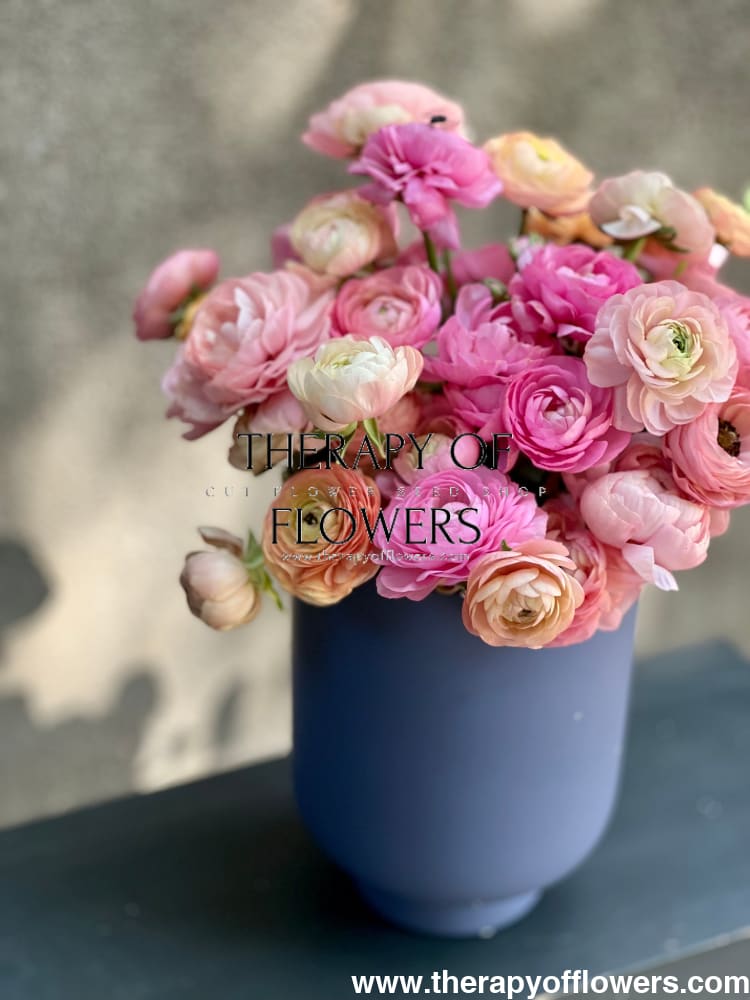 Ranunculus Elegance® PASTELLO.