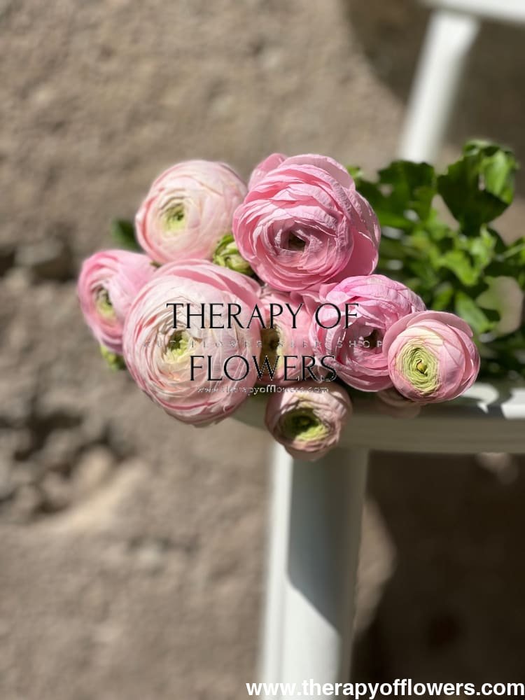 Ranunculus Elegance® ROSA CHIARO therapyofflowers.com