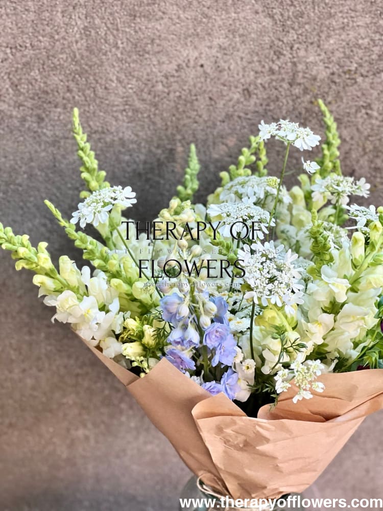 Snapdragon Costa White F1 | Group 2 | Antirrhinum majus therapyofflowers.com