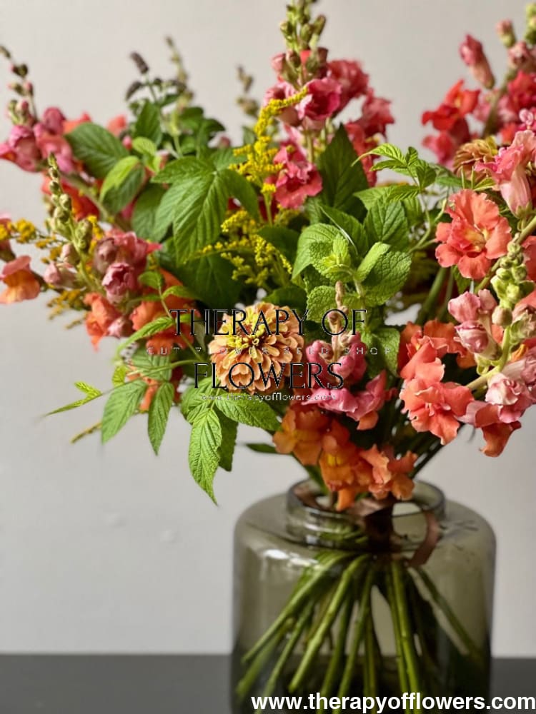 Snapdragon Madame Butterfly™ Bronze/White | Group 3,4 | Antirrhinum majus therapyofflowers.com