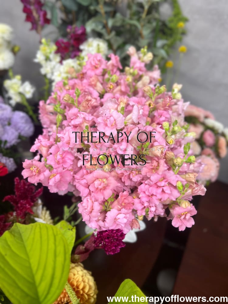 Snapdragon Madame Butterfly Pink - 20 seeds / 70 cm - seeds