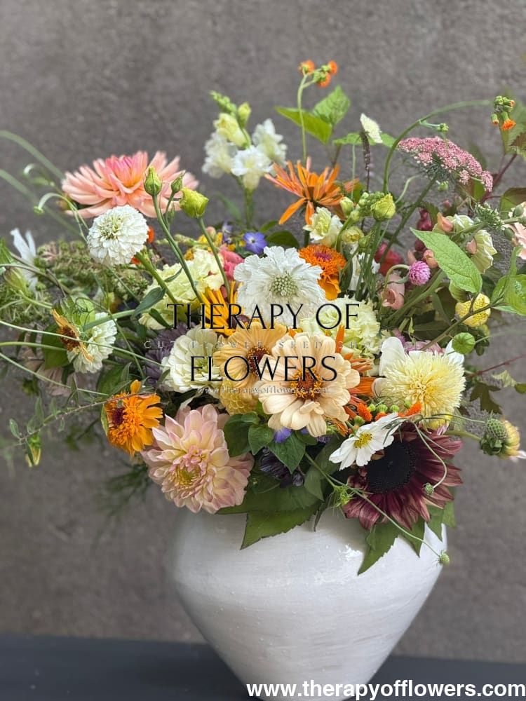 Sunflower ProCut® Plum F1 | Helianthus annuus therapyofflowers.com