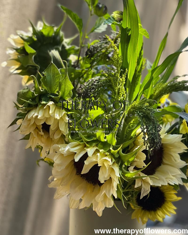 Sunflower ProCut® White Nite F1 | Helianthus annuus therapyofflowers.com