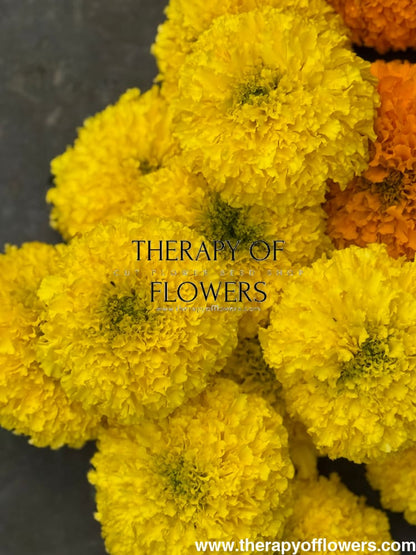 Tagetes erecta Big Duck® Yellow | African Marigold 20 seeds seeds