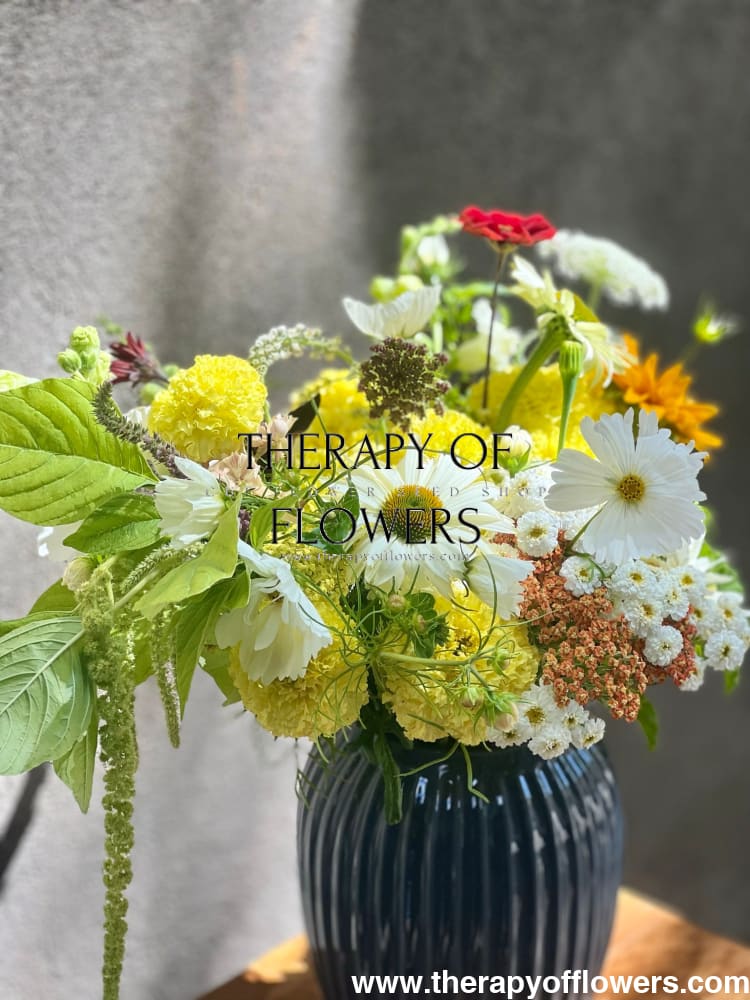 Tagetes erecta Nosento Limegreen therapyofflowers.com